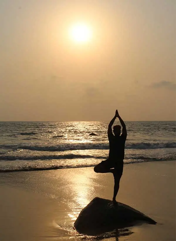 yoga-guidance online yoga teacher training certification